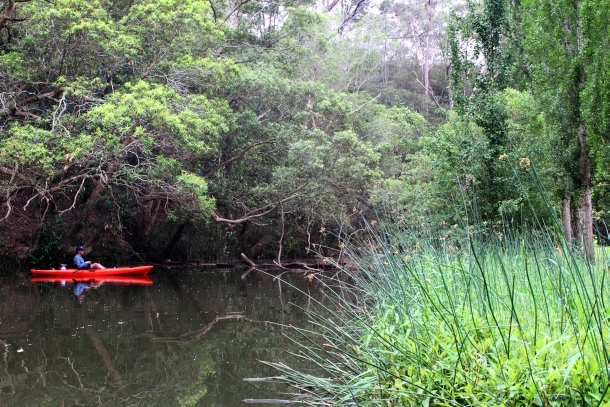 Fishing funding up for grabs